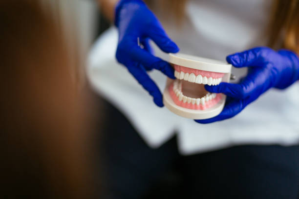 Best General Dentistry  in North Lauderdale, FL